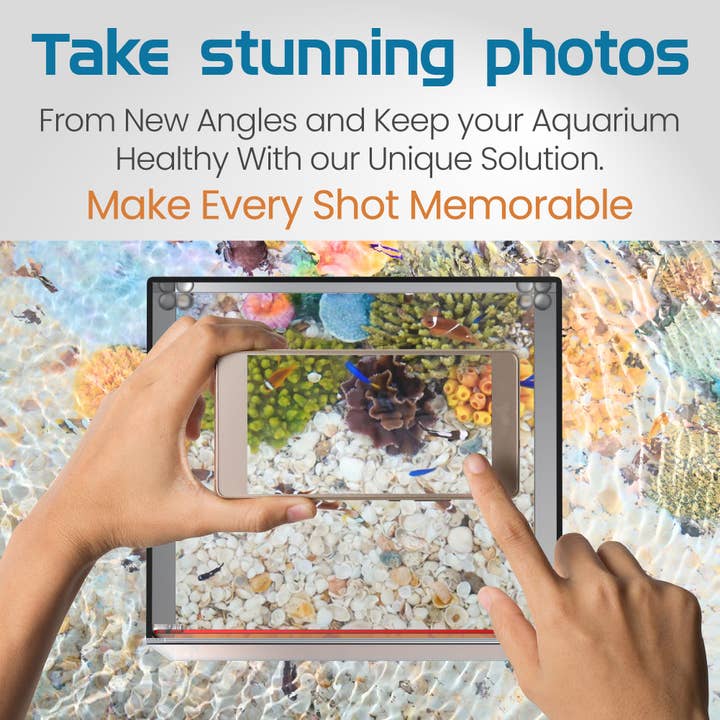 Flipper Aquarium Products - Wholesale Decorative Tabletop Object - Flipper Top Down Aquarium Viewer with Removable Orange Filter and Clownfish Artwork - 8" ultra clear viewing area6