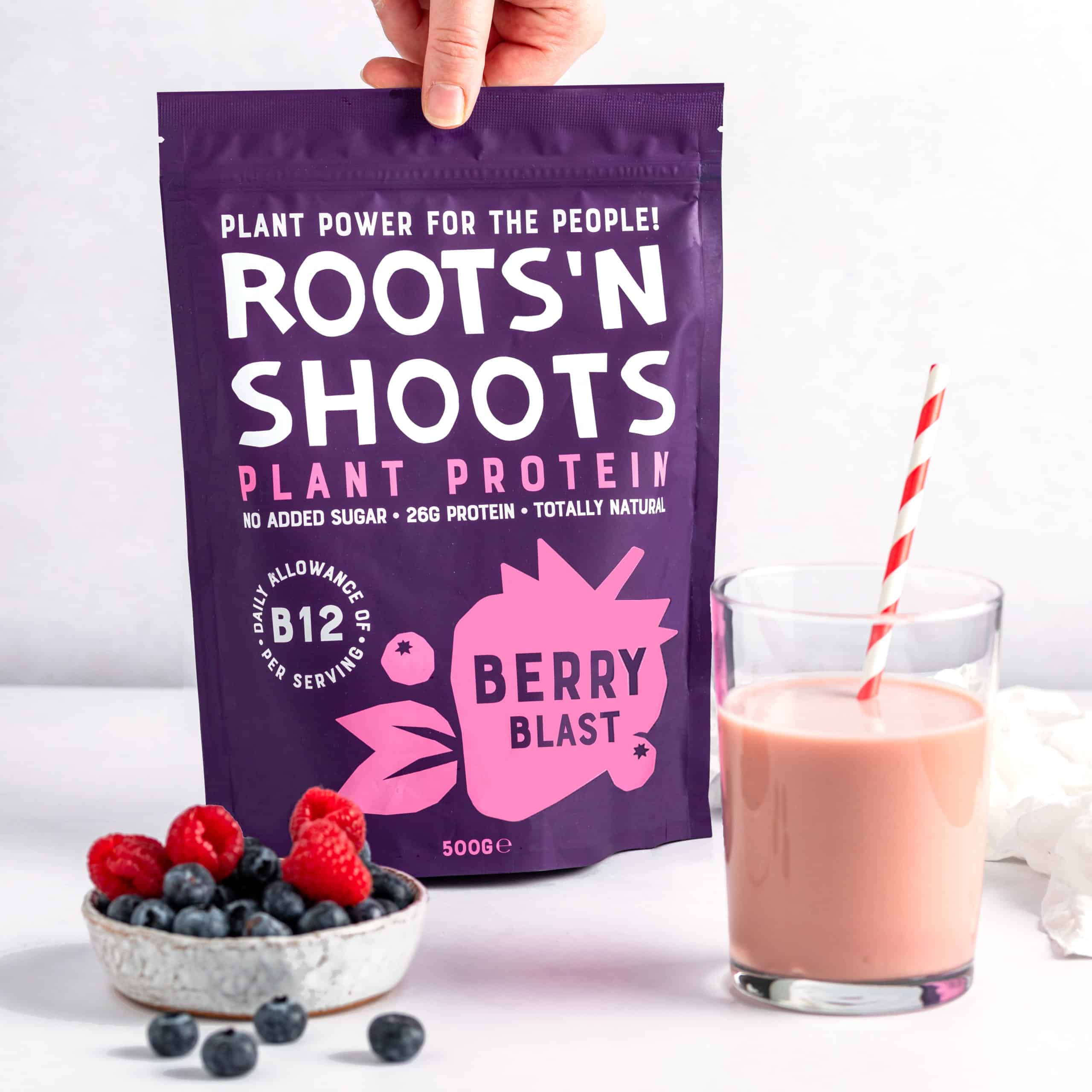 Roots 'n Shoots (Nutrition) Ltd - Wholesale Protein/superfood powder - Vegan Protein Powder with Vit B12 Berry 500g2