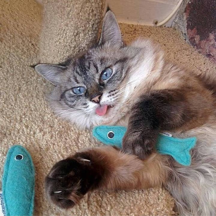 Miso Handmade - Wholesale Pet Toy - Cat - Wool Catnip Sardines s/3 & Bulk3