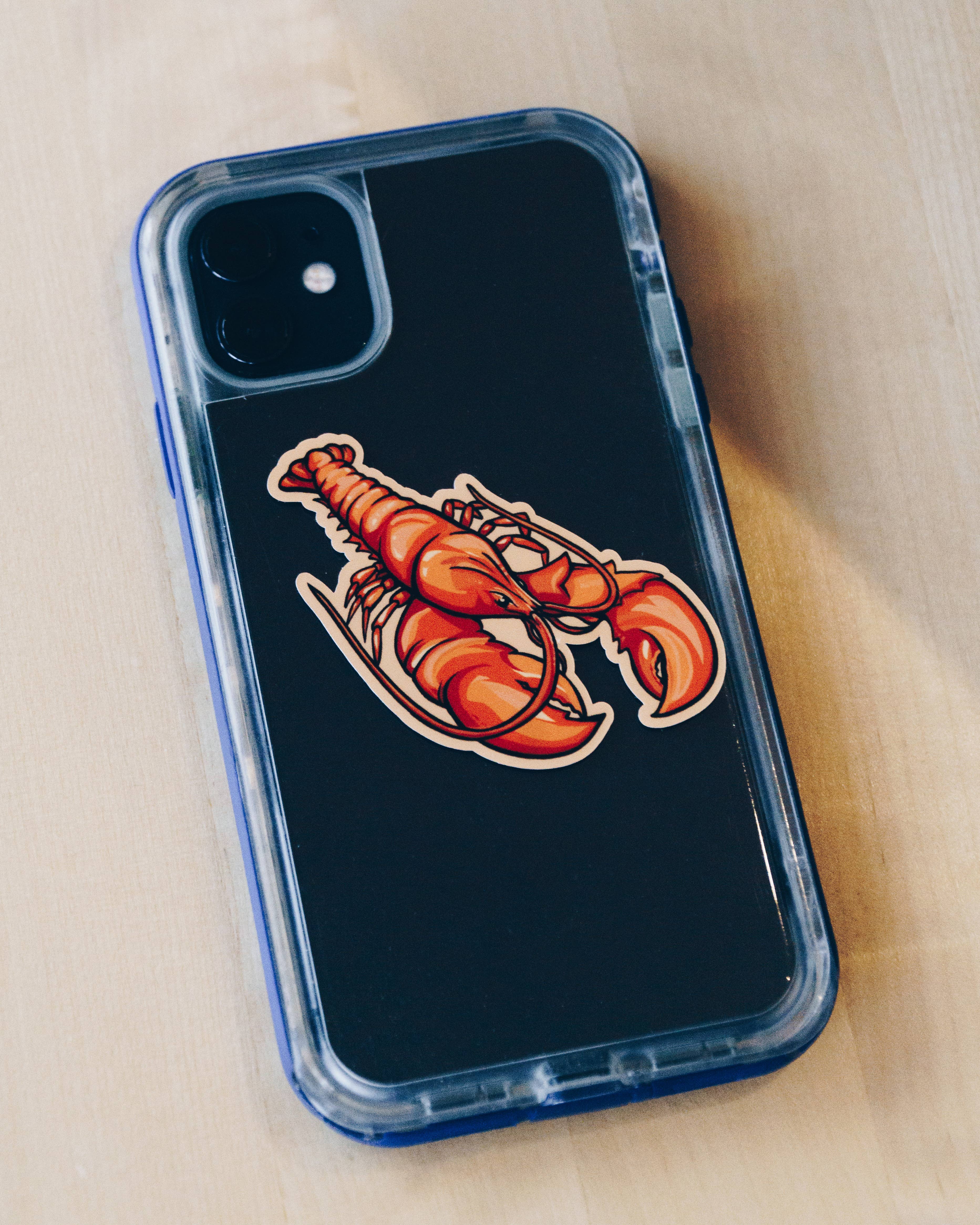 Hydrascape Stickers - Wholesale Sticker - Acadia National Park Infinity Sticker2