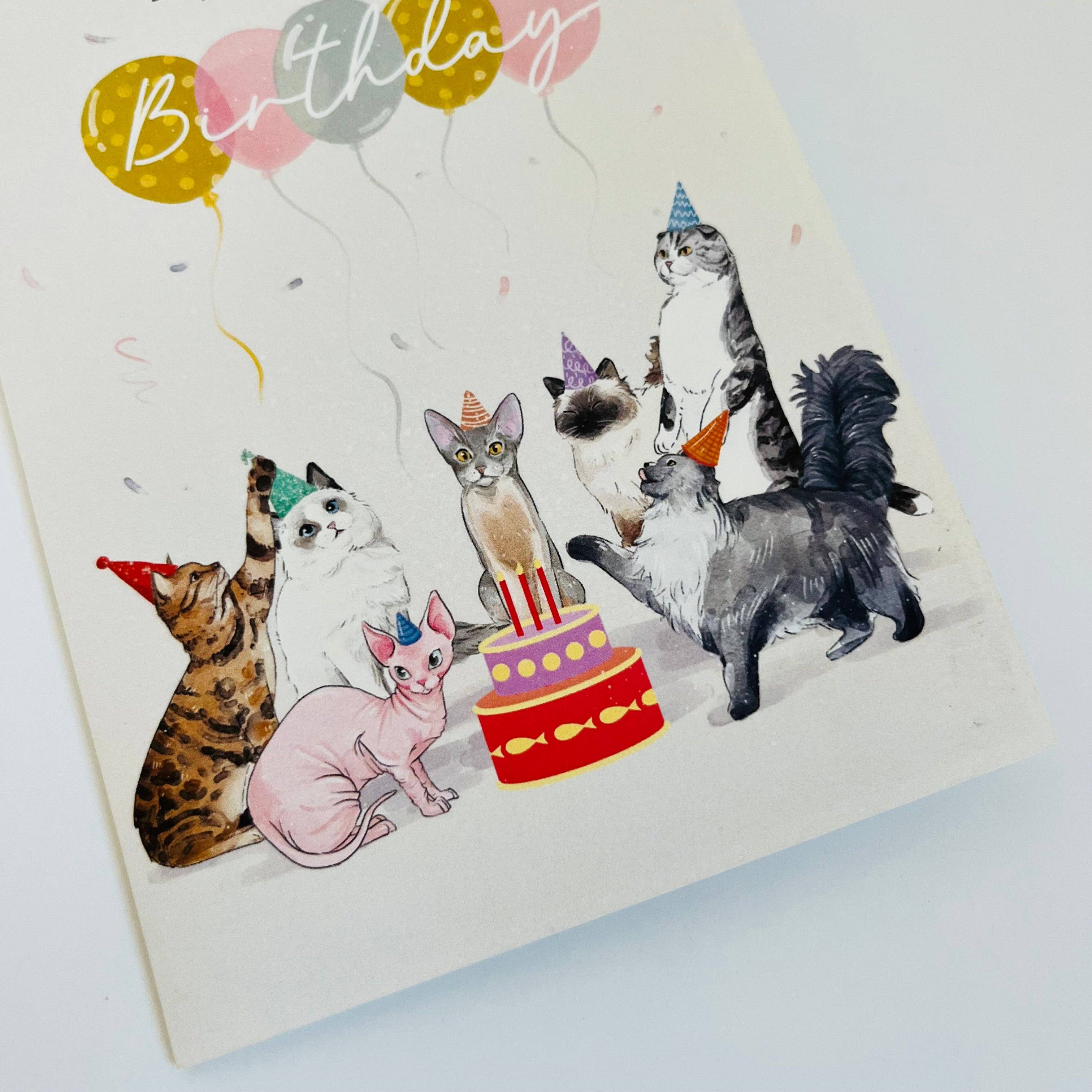 The Paper Mix – wholesale Birthday card – WOWPOP Cat-astrophic Fun CARD, 3D Pop Up Card, Handmade10