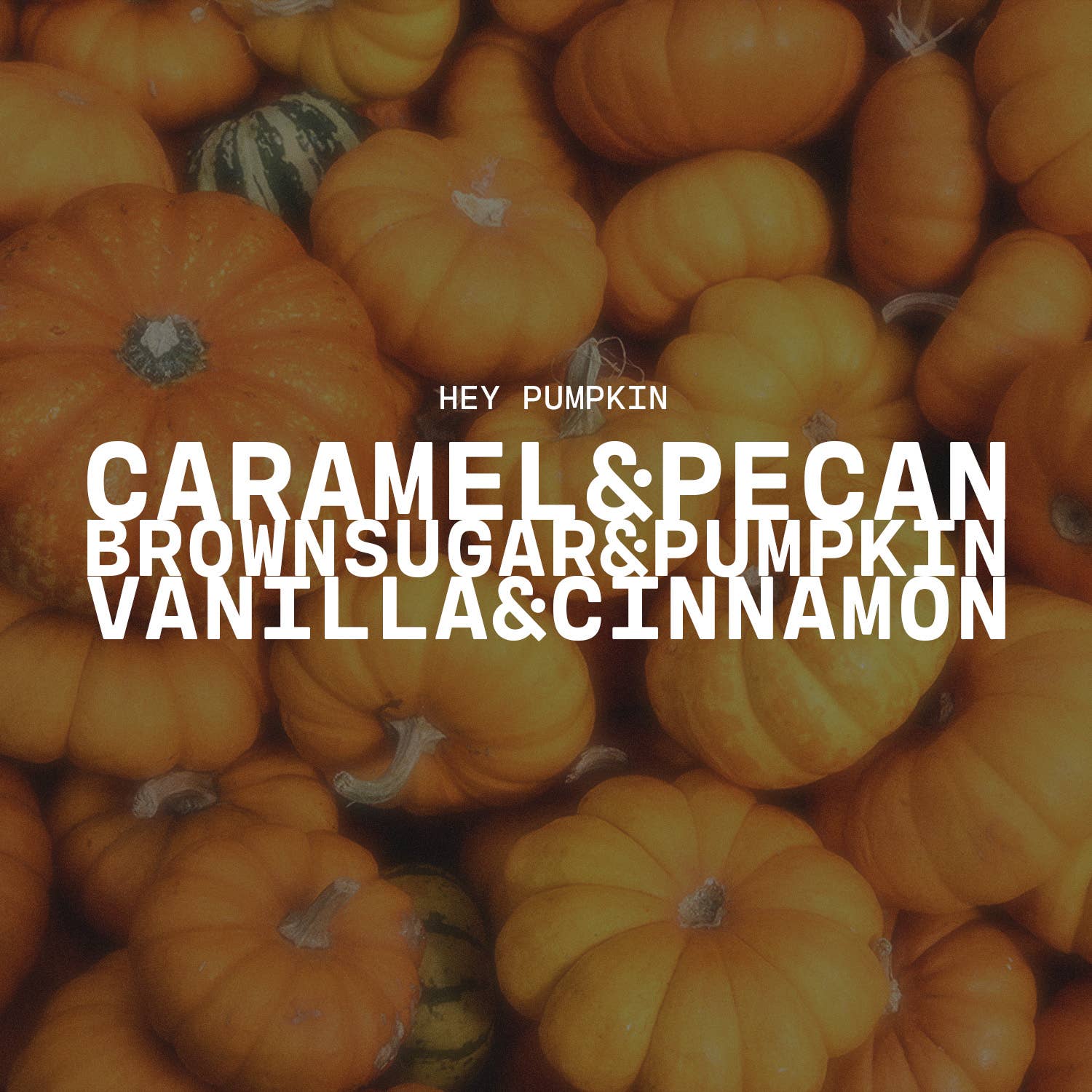 Milkhouse Candle Company - Vente Bougie en bocal - Bougie en pot de beurre de 16 oz : Hé, Citrouille !2