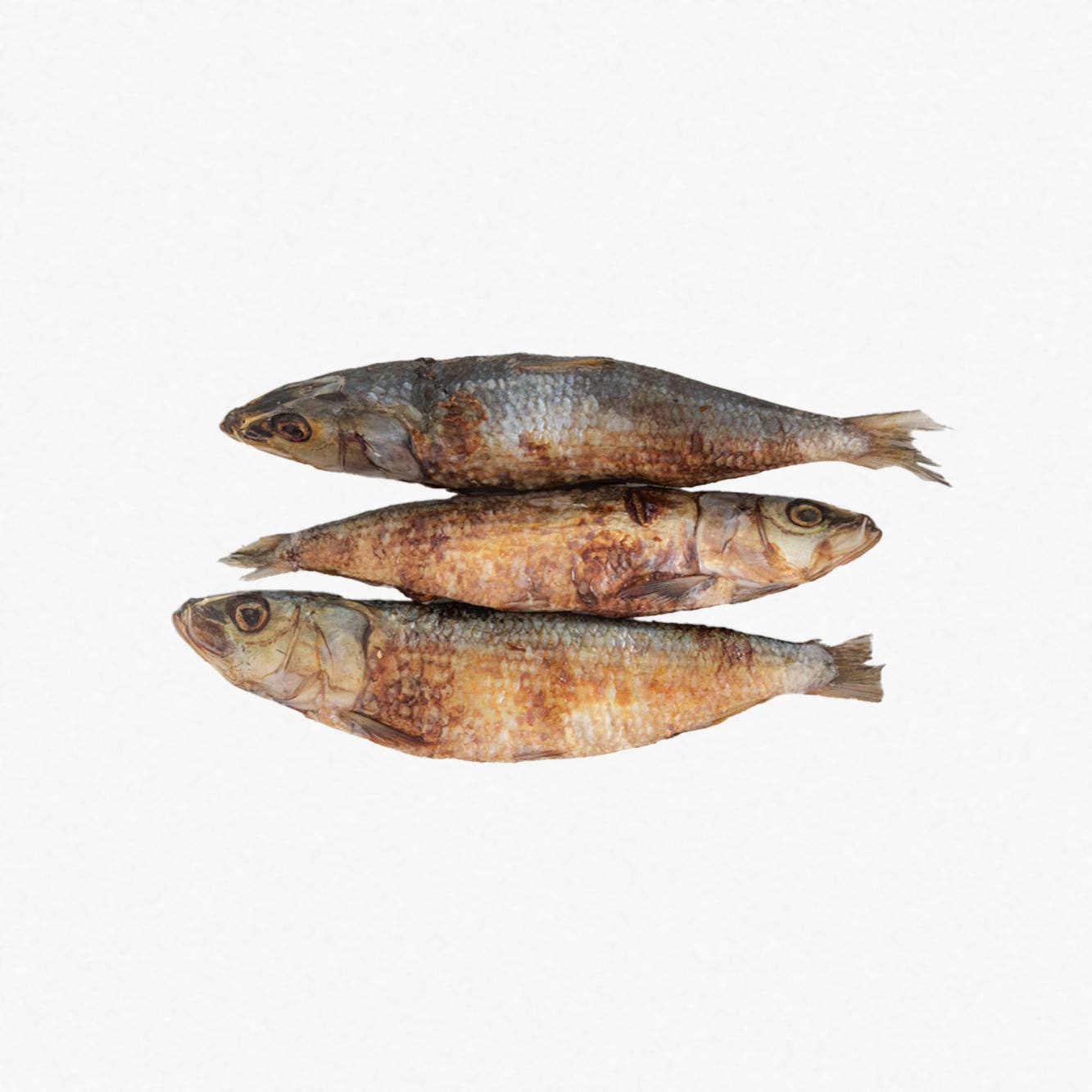 Wild n Fresh Treats – wholesale Pet treats – Dog – Dehydrated Whole Sardines (Wild Caught)3