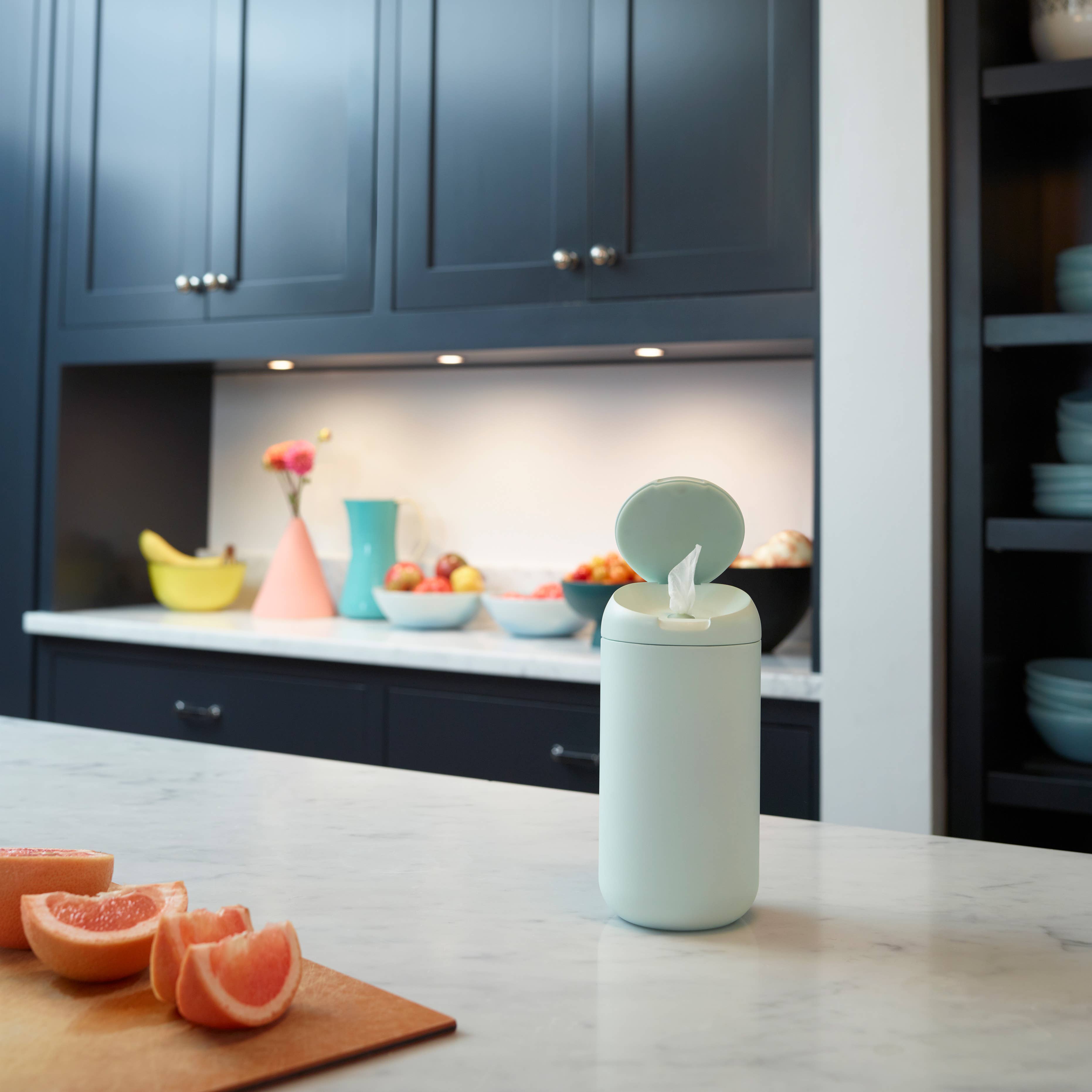 biom - Wholesale All-Purpose Cleaning Wipes - All-Purpose Cleaning Wipe Travel Pack (10ct)8