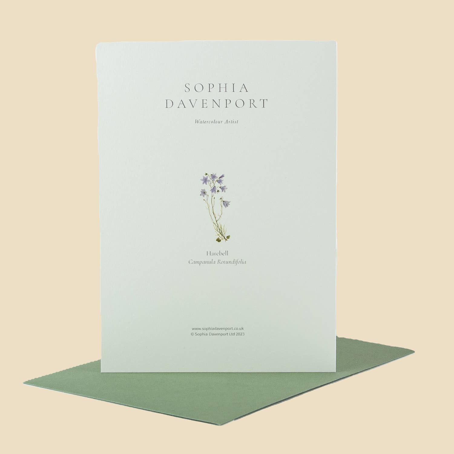 Sophia Davenport - Wholesale Everyday Greeting Card - Wildflower Greeting Cards and Notelets21