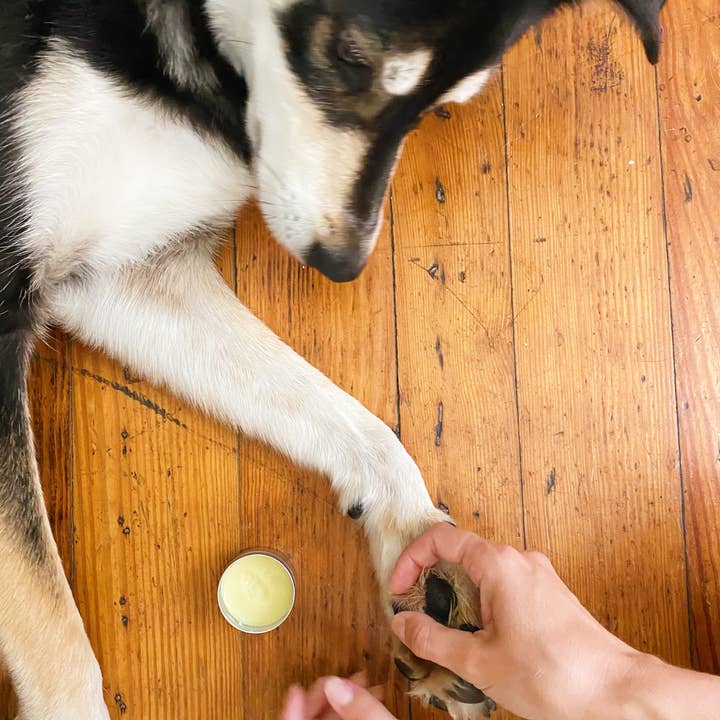 Little Witch Apothecary - Wholesale Pet Balm - Dog - Paw Pad Balm