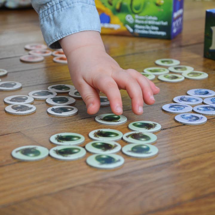 Blue Orange Games - Wholesale Board Game - Dragomino : My first Kingdomino!4