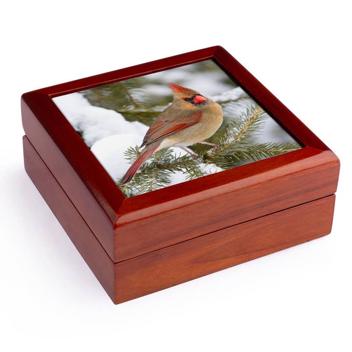 3dRose, Nordlig kardinalhona i granträd på vintern, Marion Co. IL, Smyckeskrin för wholesale av 3dRose
