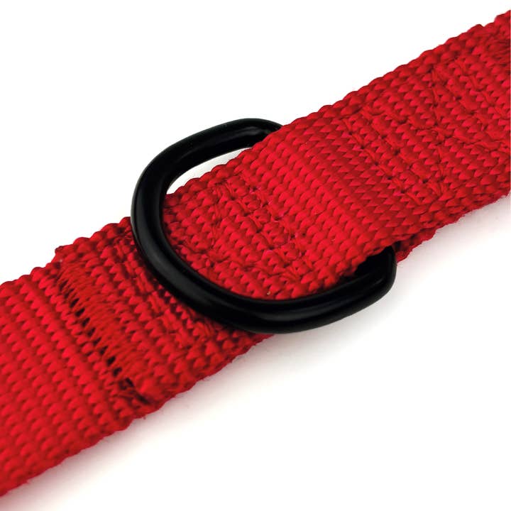 HugglePets - Wholesale Pet leash – Dog - HugglePets 10 In 1 Training Dog Lead11