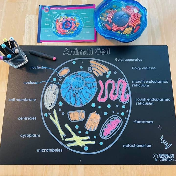 Imagination Starters - Vendita all'ingrosso Tappetino da colorare - Bambini e neonati - Tovaglietta da Colorare Riutilizzabile Cellula Vegetale 30x43 cm1