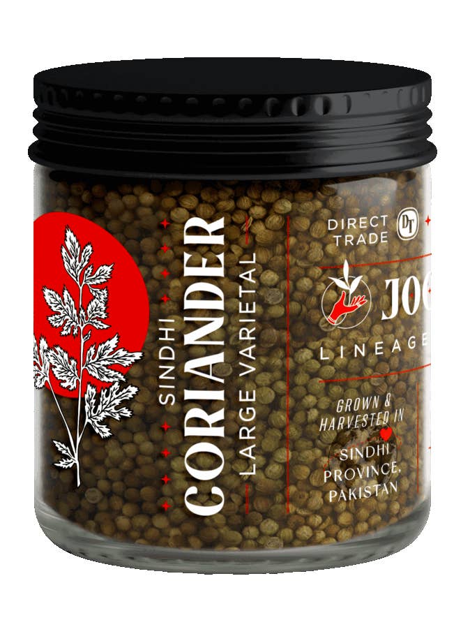 Large Varietal Sindhi Coriander for wholesale by Joon Spice