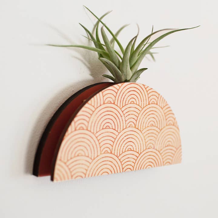 Stacy Wong - Wholesale Wall Planter - Mod Curves Dome Wall Planter Vase