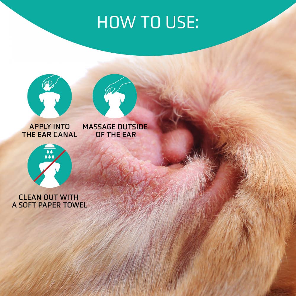 ARTERO Inspiring Style - Wholesale Pet Cleaning Supplies - Artero Oto. Loción limpiadora de oídos para Perros3