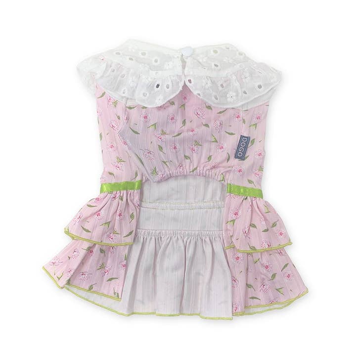Dogo Pet - Wholesale Pet Dress - Dog - Ditsy Floral Dress3
