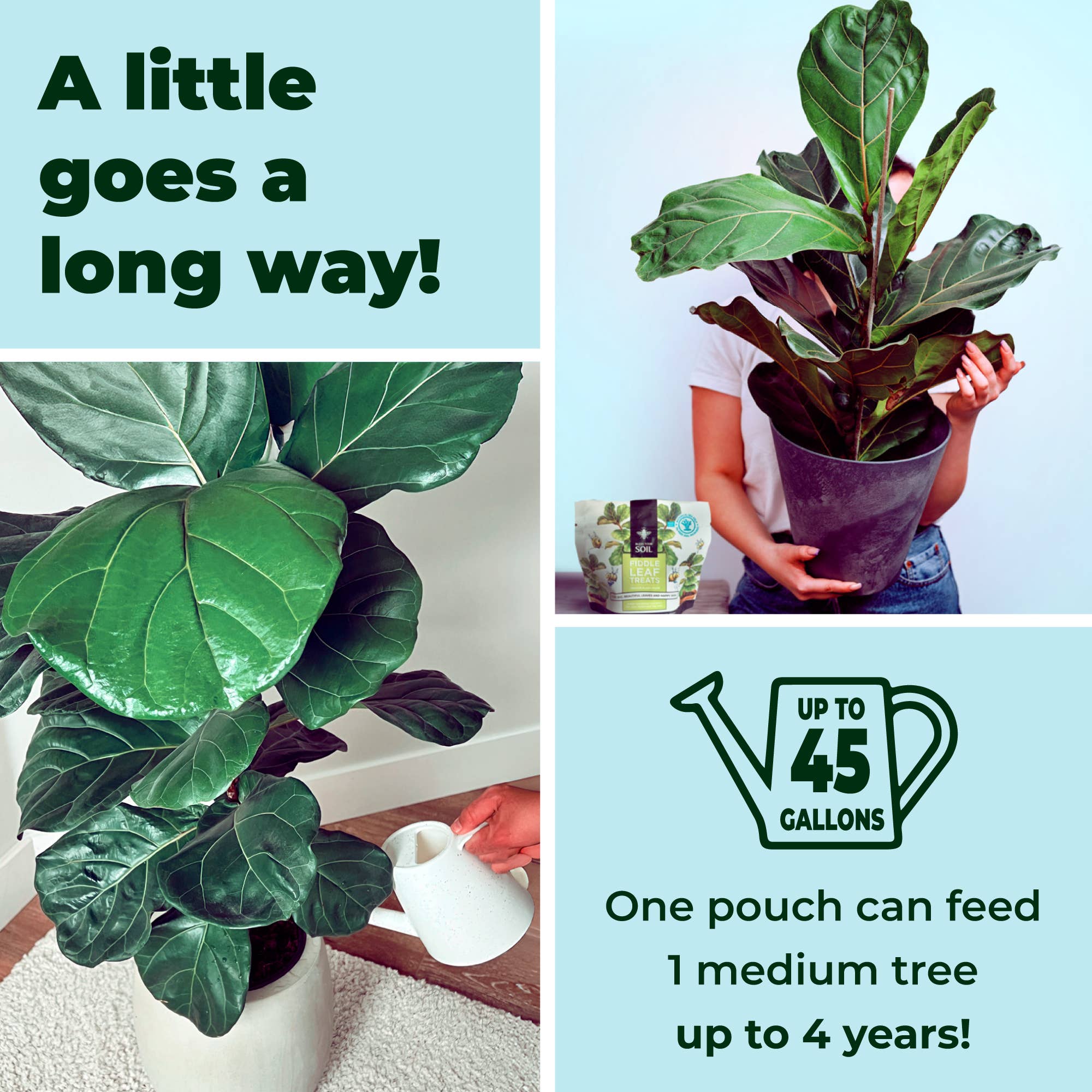 Bless Your Soil - Wholesale Fertilizer - Fiddle Leaf Treats®5