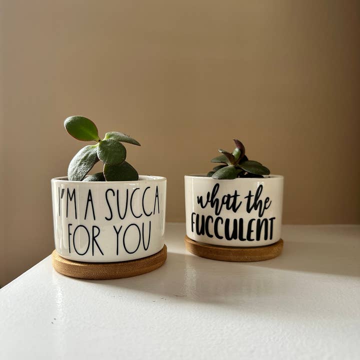 Peach Tree Design Shop - Wholesale Plant Pot - Funny Mini Planters, Punny Plant Pot, Cute Succulent Planter1