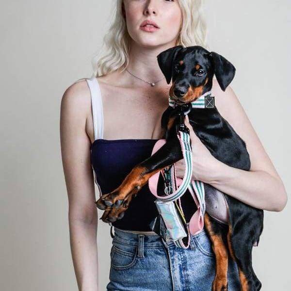 Saint Rue - Wholesale Pet Leash - Dog - Le Classic Dog Leash4