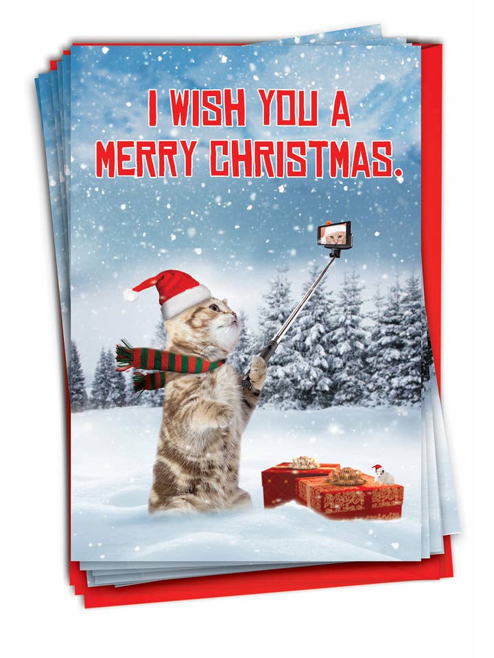 Confezione da 12 biglietti di auguri natalizi con Santa Cat Selfie per la vendita all'ingrosso da parte di NobleWorks