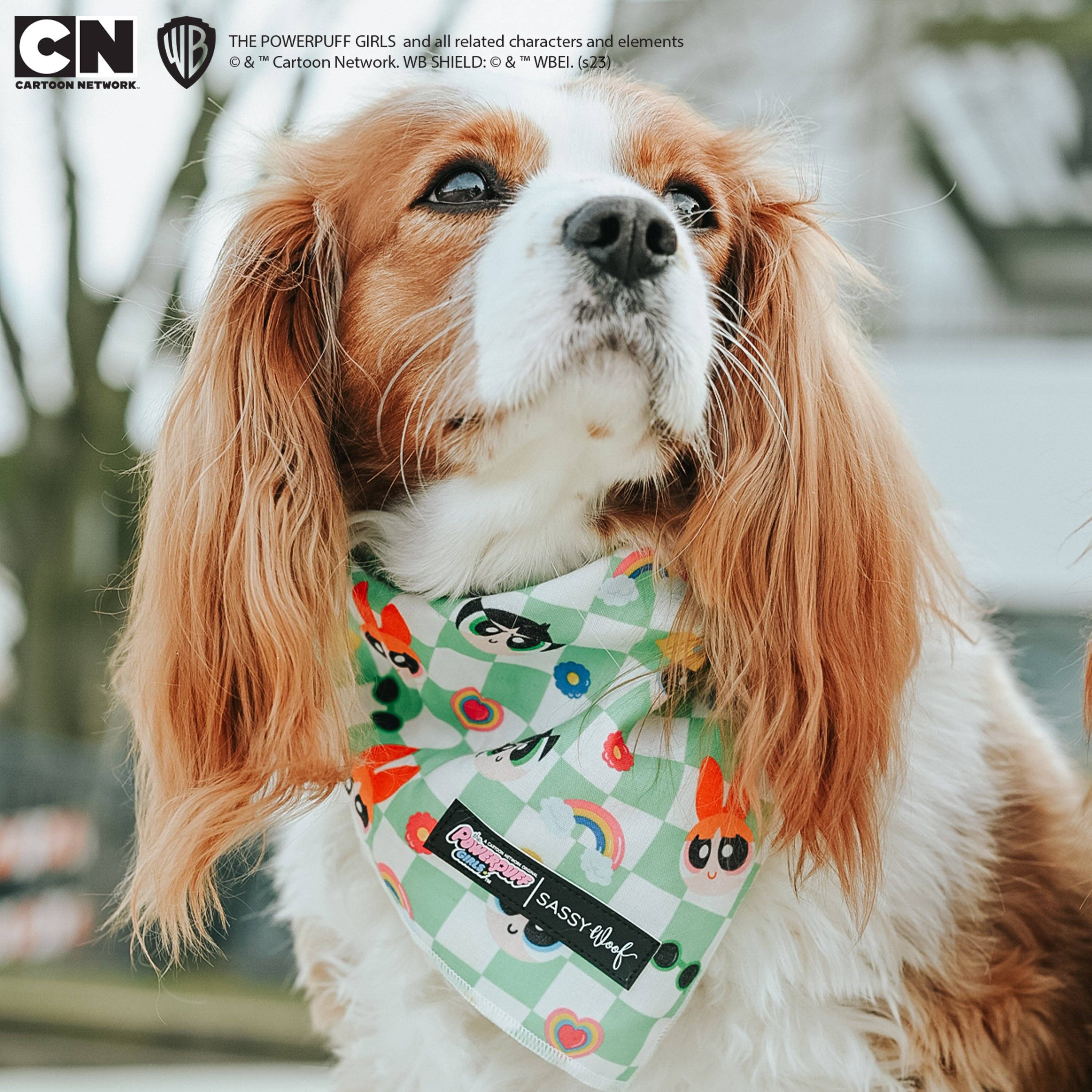 SASSY WOOF - Wholesale Pet Bandana - Dog - Dog Bandana - The Powerpuff Girls™ (Green)8