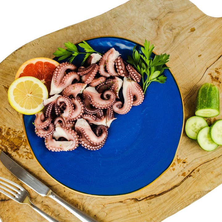 Wholesale Italian Food - Wholesale Tinned Fish - Renna, Fresh & Delicious Whole Octopus Tentacles in Oil, Tender, 10.58 oz2