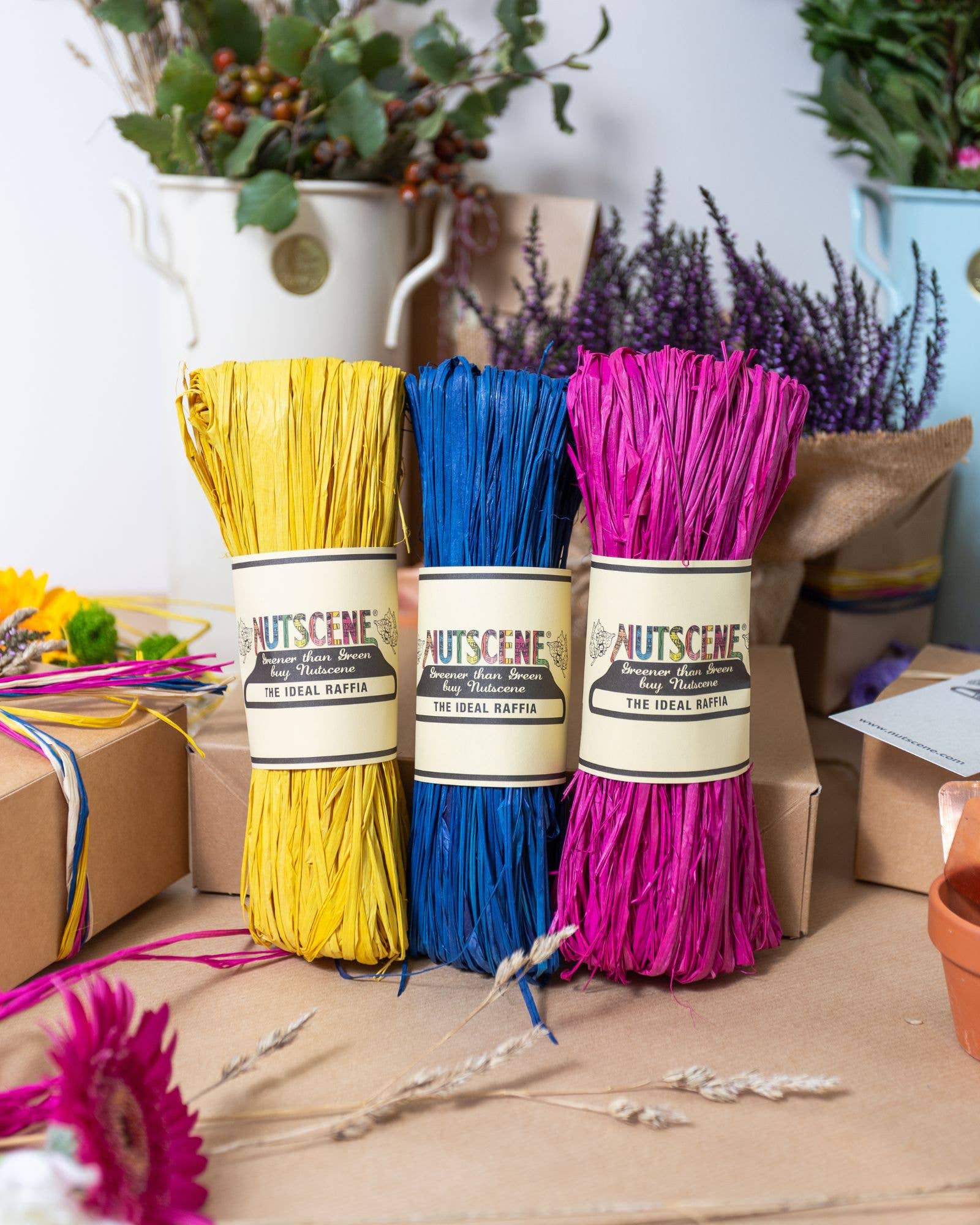 Nutscene Twines Ltd – wholesale Snöre – Blandad ask med 24 naturfärgade raffiahärvor1