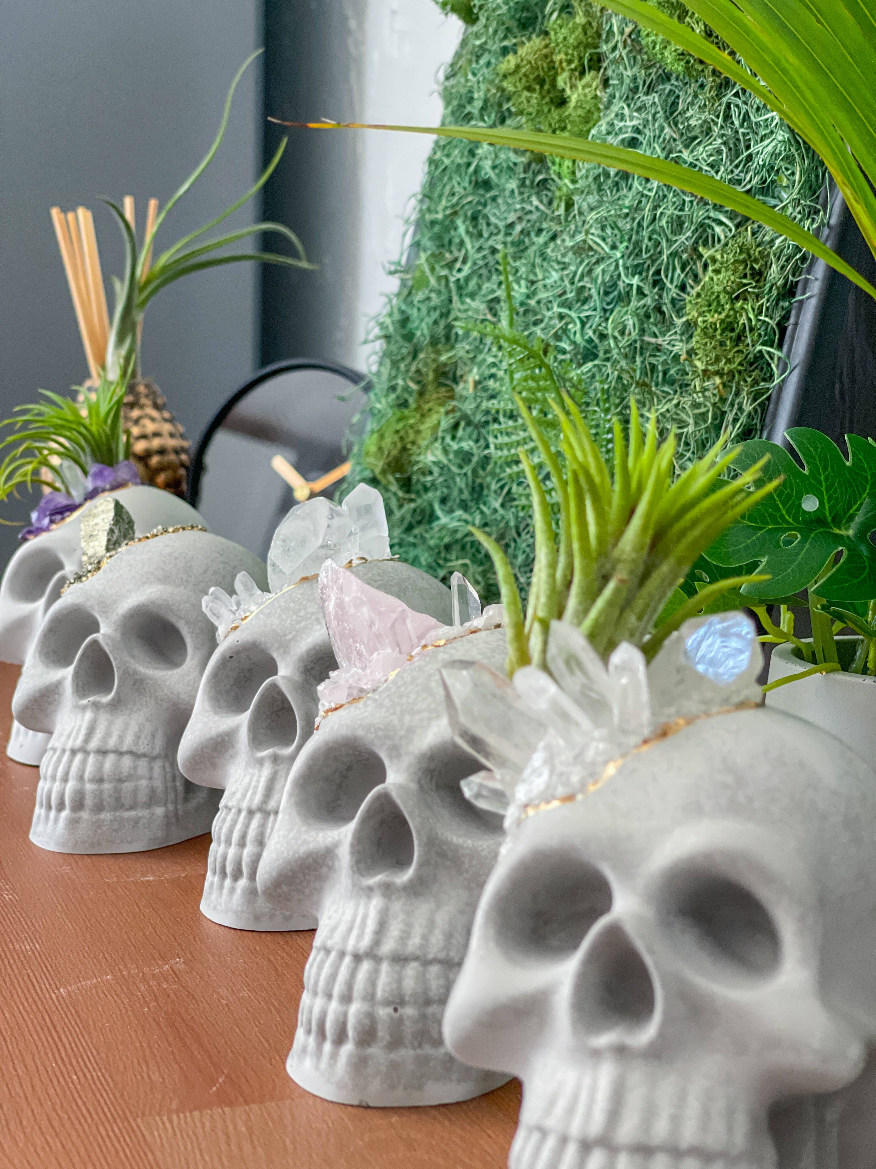 Planters Made in the USA - Wholesale Decoratief beeldje - Groot schedelbeeld van rozenkwarts en natuurlijke kristallen8