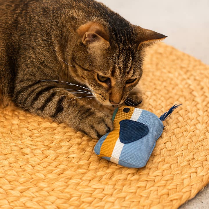 Upavim Crafts - Wholesale Pet Toy - Cat - Organic Catnip Birdie Cat Toy