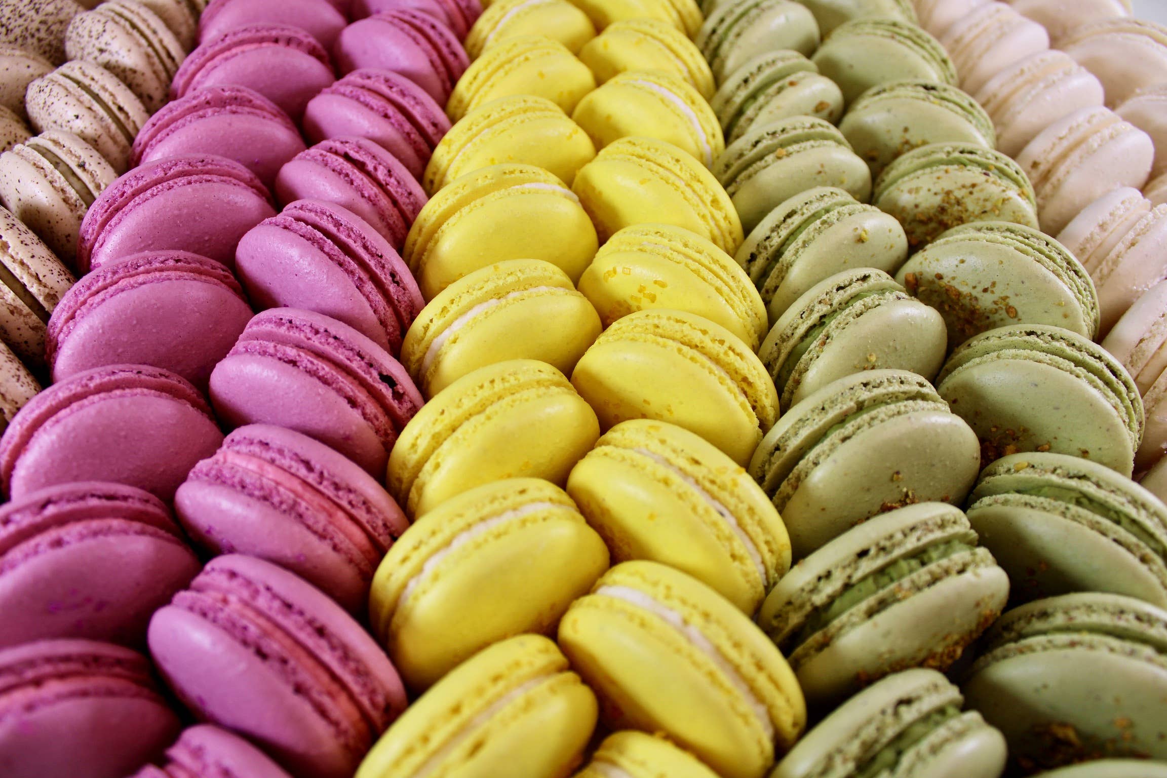 Savor Patisserie - Wholesale Cookie - The Classics Collection - Bulk French Macarons3