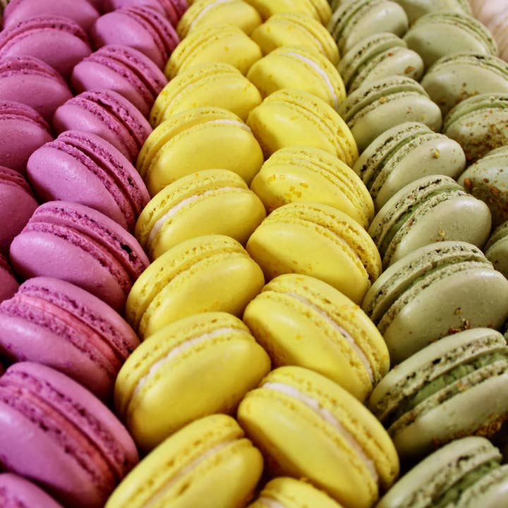 Savor Patisserie - Wholesale Cookie - The Classics Collection - (300) Bulk French Macarons3