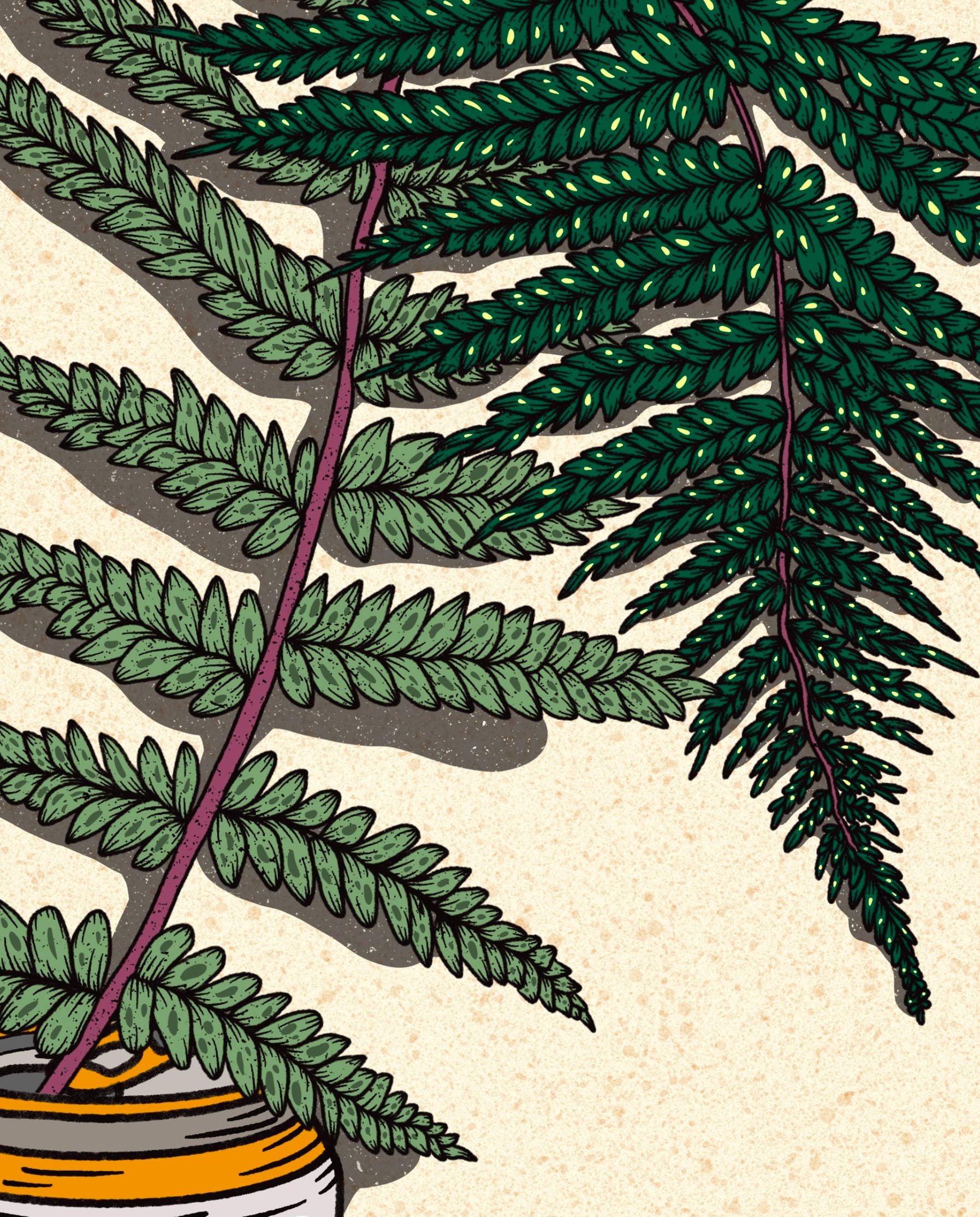 Howdy Studio - Wholesale Art Print - Rainier Beer Can1