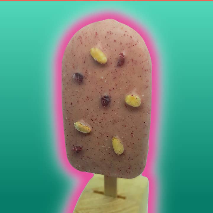 Banana Square - Wholesale Ice cream/sorbet - Cranberries, Pine Nuts Ice Cream Stick - Organic and Vegan0