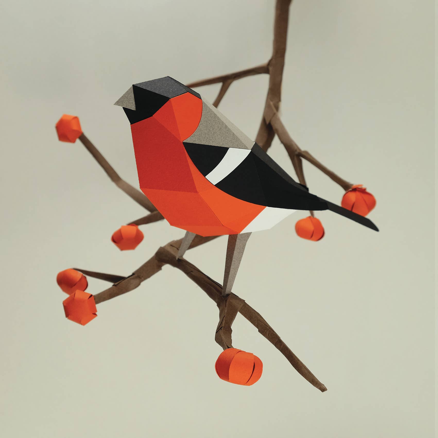 PLEGO - Wholesale DIY Craft Kit - PYRRHULA PYRRHULA - paper bird1