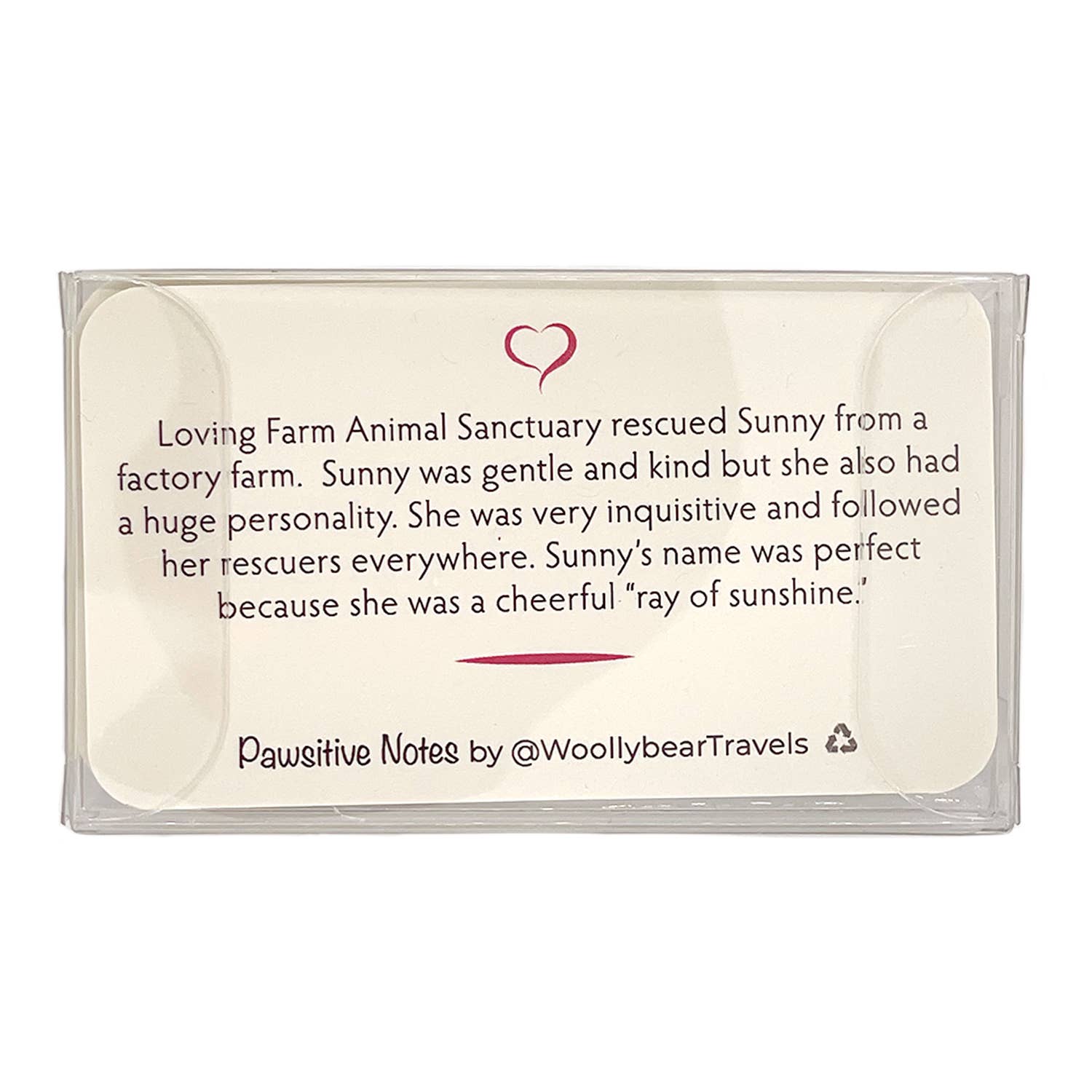 Woollybear Travels - Wholesale Stationery/Notecard Set - Pawsitive Notes- Rescued Chicken (Lunch Box Notes)6