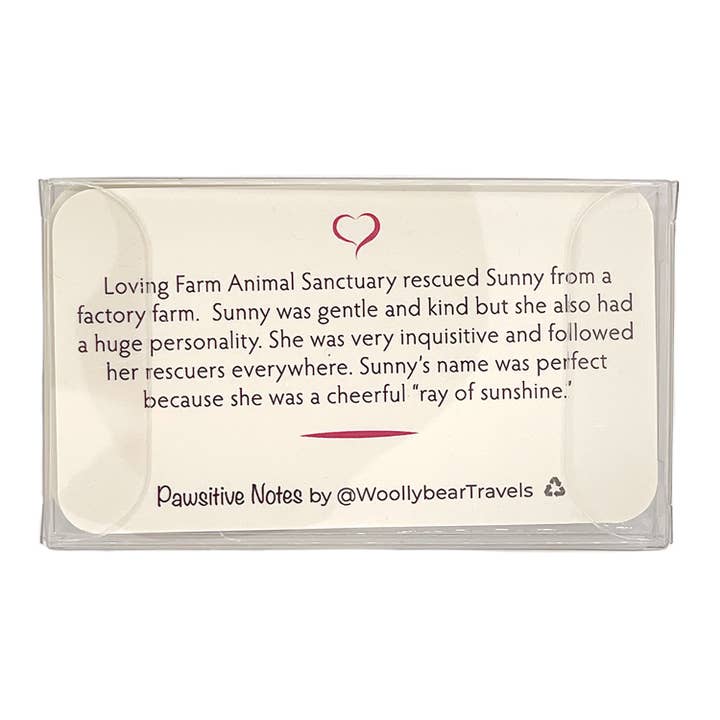 Woollybear Travels - Wholesale Stationery/Notecard Set - Pawsitive Notes- Rescued Chicken (Lunch Box Notes)6