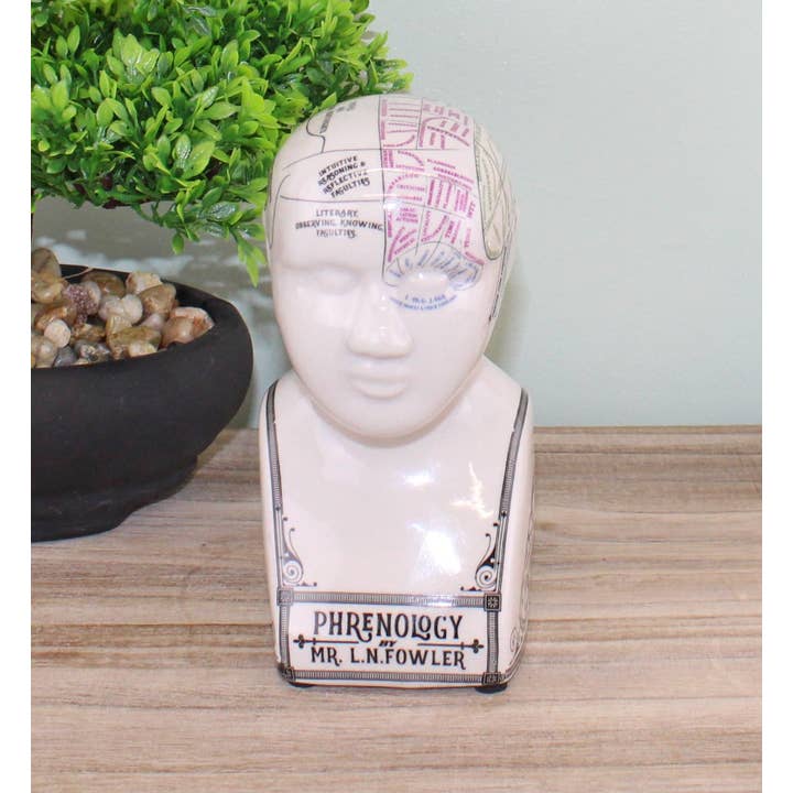 White Black Small Ceramic Crackle Phrenology Head for wholesale on Faire