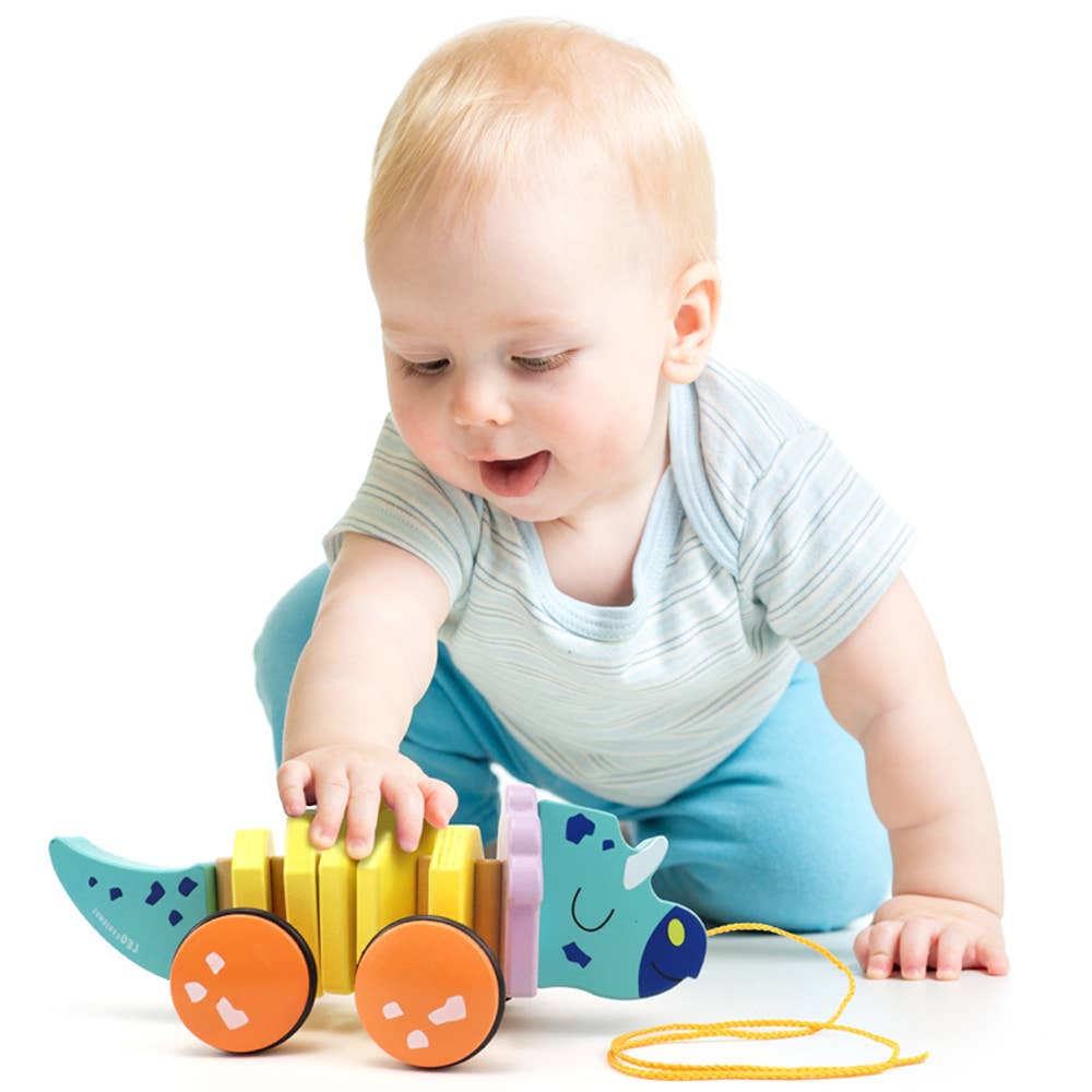 Leo & Friends - Wholesale Wood Toy - Kids - Leo & Friends Pull Along Walking Triceratops Wooden Toy2