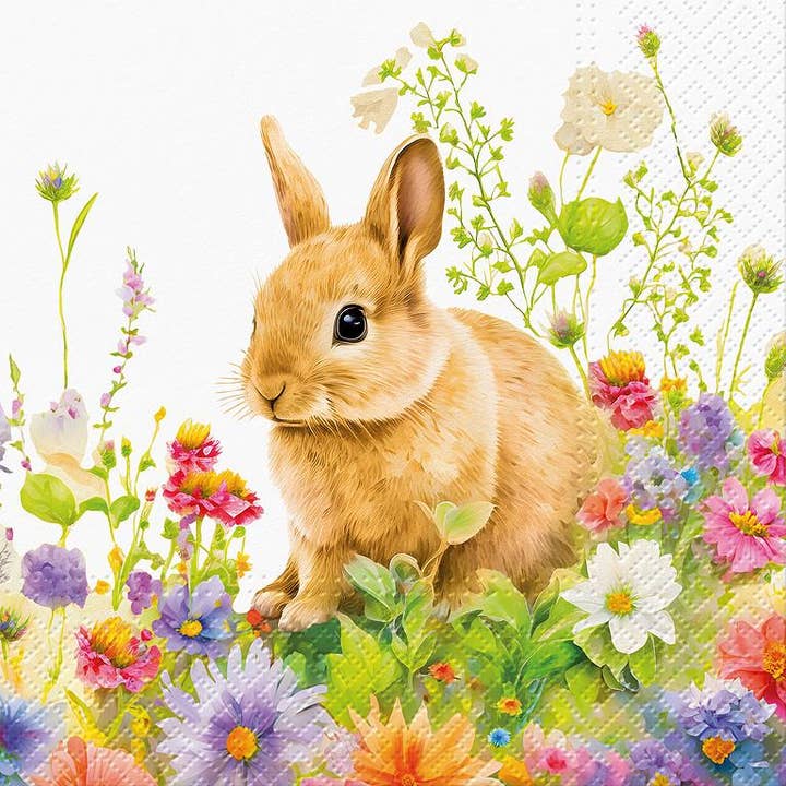 Stora vårmorgonservetter-20 st för wholesale av Abbott