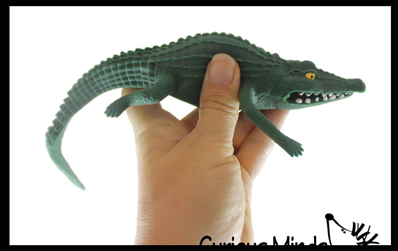 Curious Minds Toys – wholesale Fidget toy – Kids – 1 Stretchy Sand Filled Critters Animals -Gross Sensory Fidge6