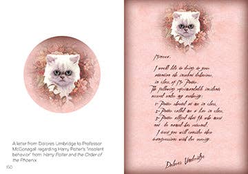 Insight Editions - #1 Pop Culture Publisher - Wholesale Display Book - The Art of Harry Potter: Mini Book of Graphic Design5