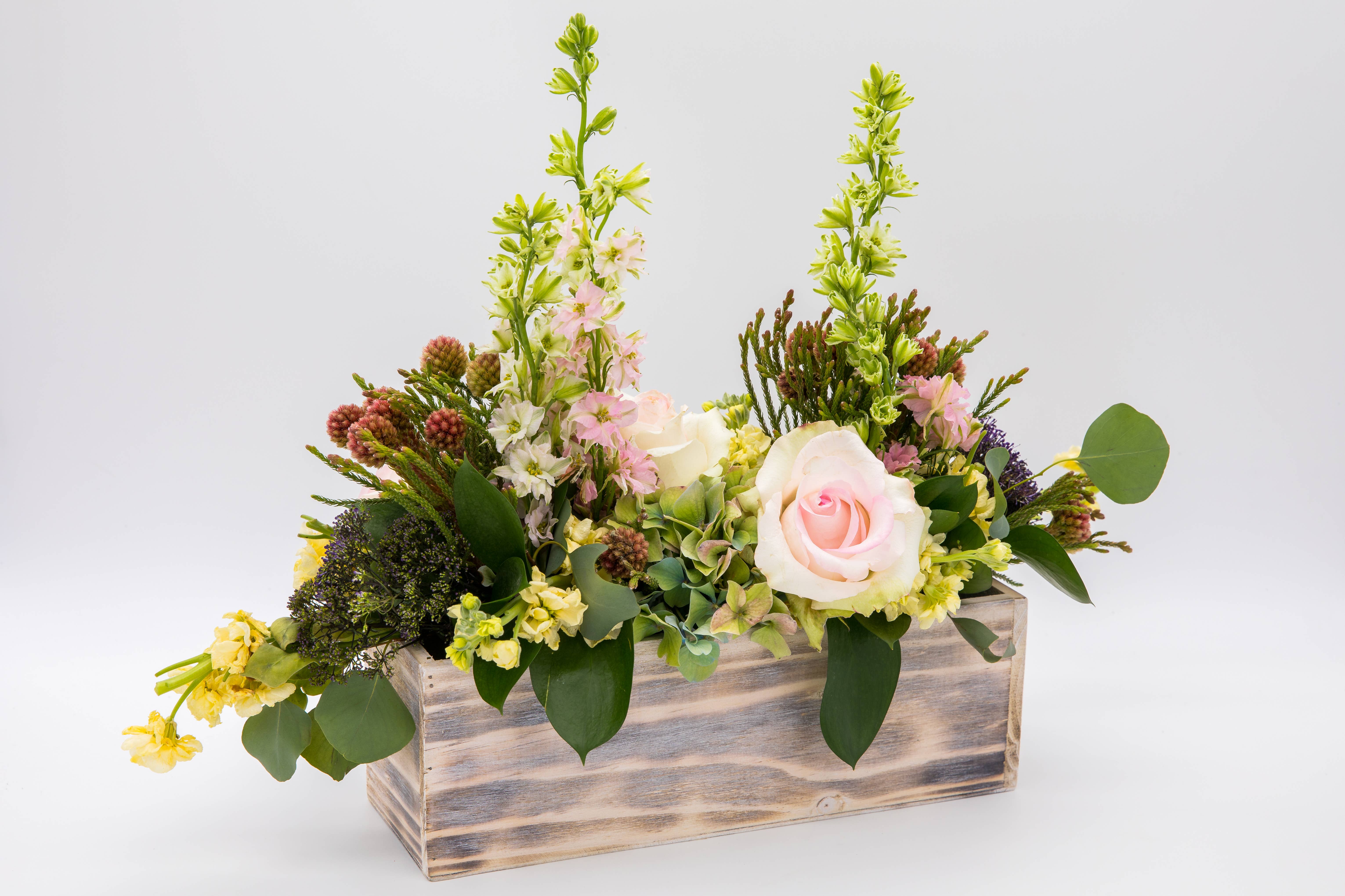 UNIMIX FLORAL - Vente Jardinière - Jardinières en bois avec doublure plastique 30 x 10 cm9