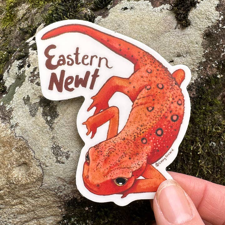 Eastern Newt - Vinyl Disorder for wholesale by River Thrush Studio