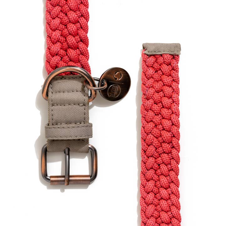 BetterBone Natural Dog Chews - Wholesale Pet Collar - Dog - BetterCollar - 100% Fairtrade Recycled Ocean Bound Plastic D10