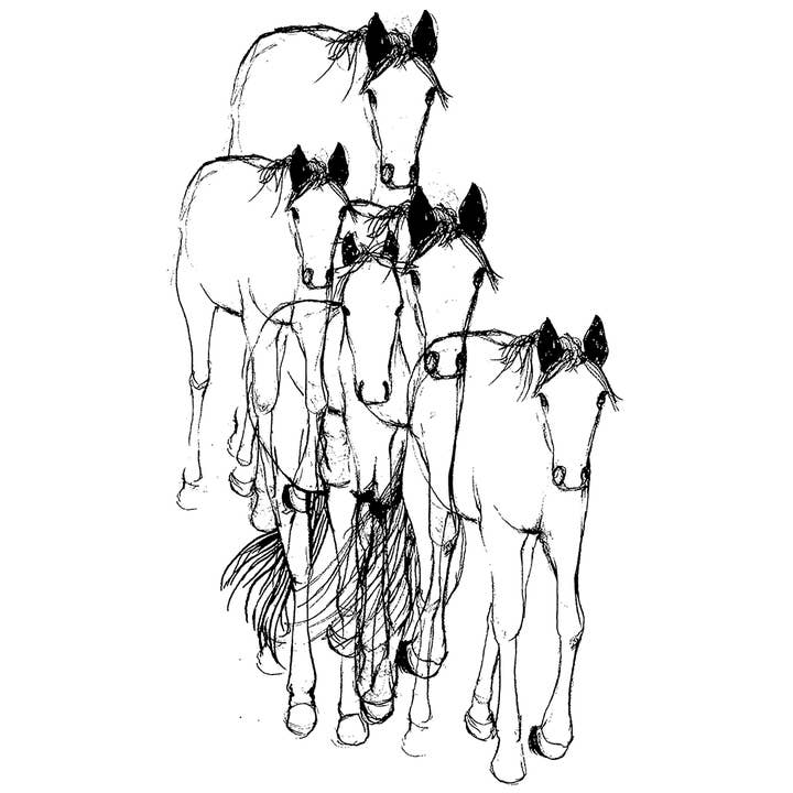 Supermaggie @ Faire - Wholesale Screen Printed T-Shirt - Women's - Horses Gwenn Heavyweight Tee6