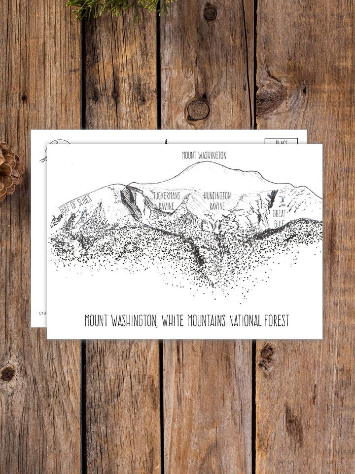 Carte postale du mont Washington pour la vente par Drawn to Ecology