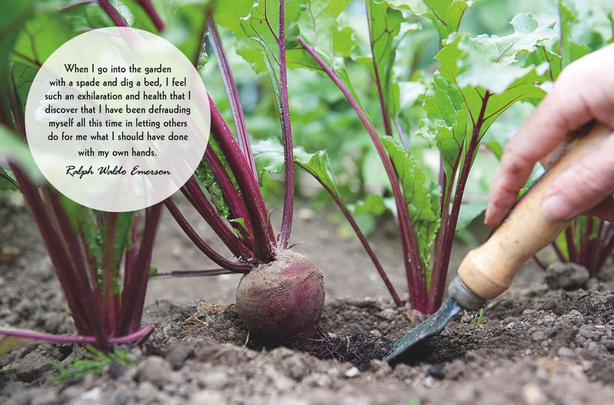 Ryland, Peters & Small – wholesale Home and garden – Mindful Gardening2