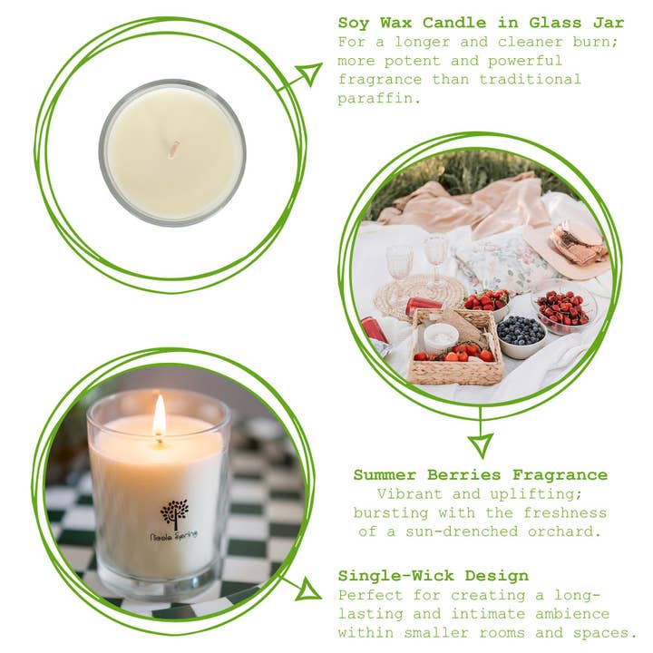 Rinkit Pty Ltd - Wholesale Jar/filled candle - Soy Wax Scented Candle - 160g - Summer Berries4