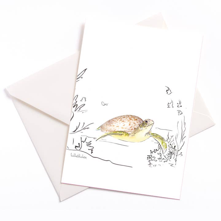 Sea-almond Turtle - card with envelope for wholesale by Lütteblüten