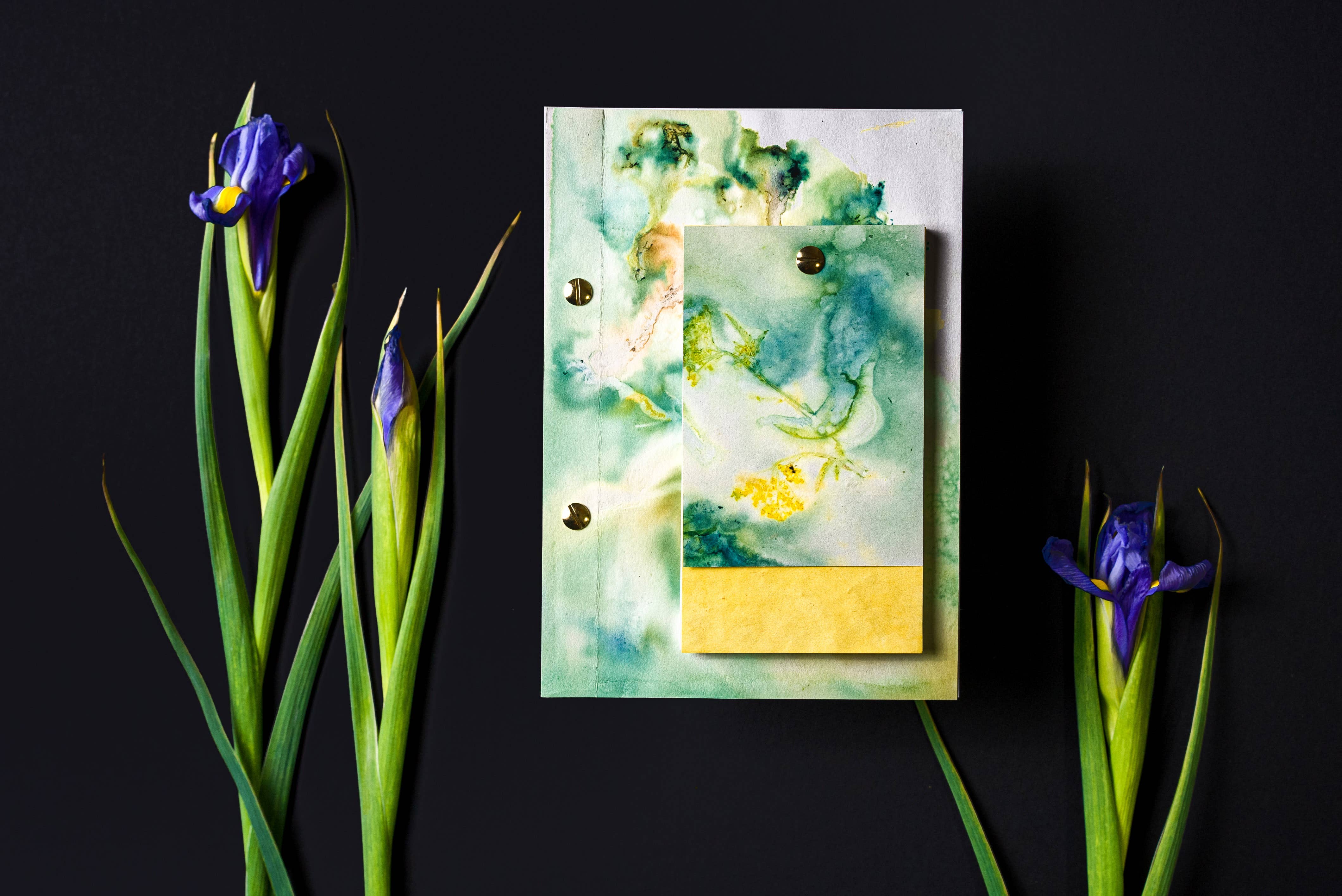 Cueillette – Engroshandel Notesbog – Vegetabilsk notesbog14