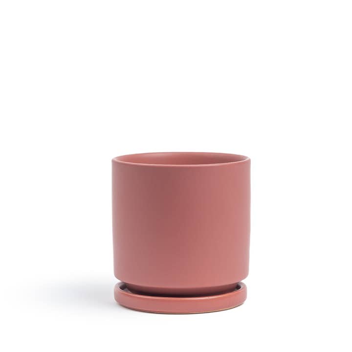 Momma Pots - Wholesale Plant Pot - 10.5" Gemstone Cylinder Pots with Water Saucers15