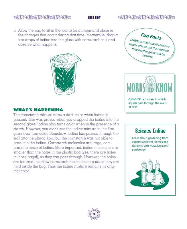 Simon & Schuster - Wholesale Science & Math - Everything Kids' Science Experiments Book by Tom Robinson4